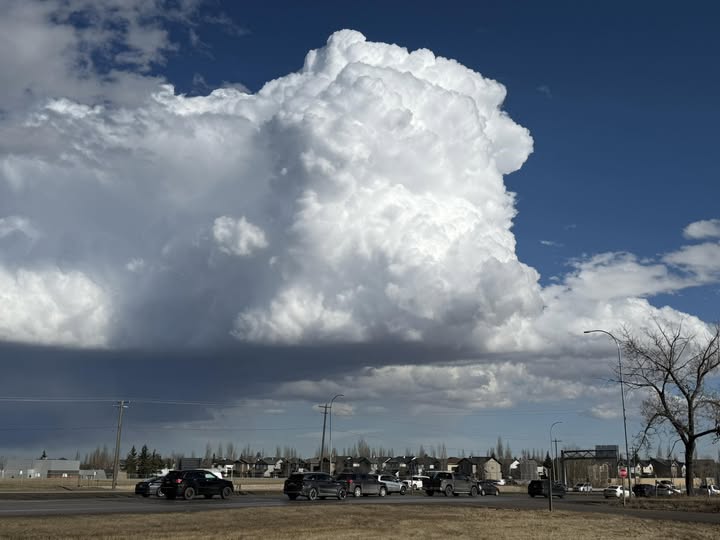 Calgary Spring Storm Triggers Dozens of Crashes as Snow Turns Roads Hazardous