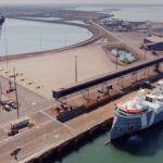 1,000 Fish Found Dead at Darwin Port After Toxic Iron Ore Runoff Triggers Probe