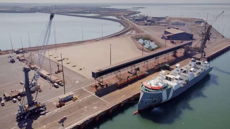 1,000 Fish Found Dead at Darwin Port After Toxic Iron Ore Runoff Triggers Probe