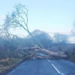 Power Cuts and Travel Disruption After Storm Dave Hits Scotland