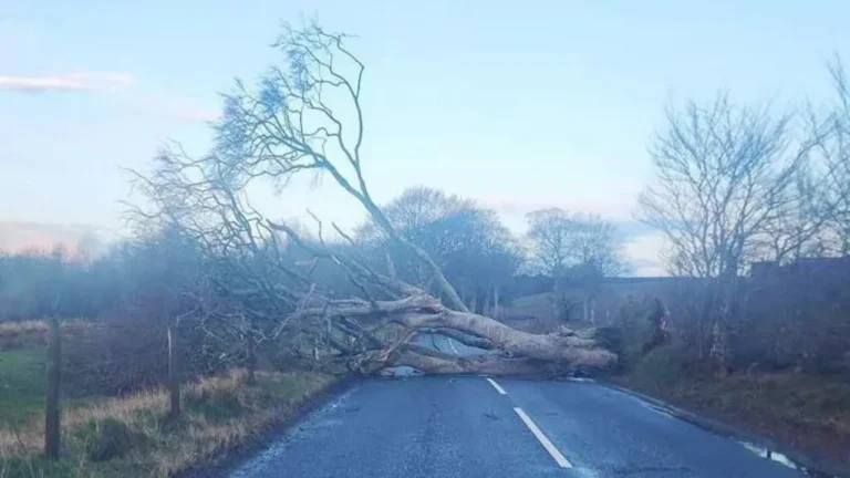 Power Cuts and Travel Disruption After Storm Dave Hits Scotland