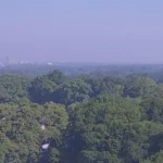 Atlanta Covered in Smoke as South Georgia Wildfires Burn Over 22,000 Acres Amid Drought