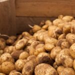 Parilla Premium Potatoes Fined $360K After Plane Propeller Injures Worker