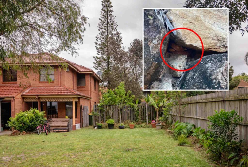 Urgent Snake Warning: 35% Spike in Bites as Venomous Snakes Enter Aussie Backyards