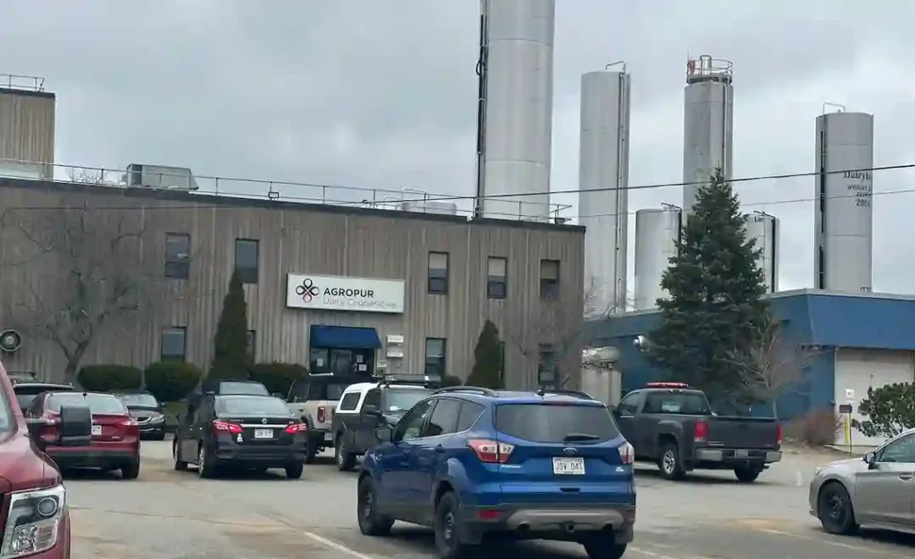Agropur to Close Sussex Dairy Plant by 2028, 90 Jobs at Risk in Atlantic Canada