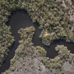 WA Approves $500M Scott River Wind Farm Despite 400+ Objections, Community Divided