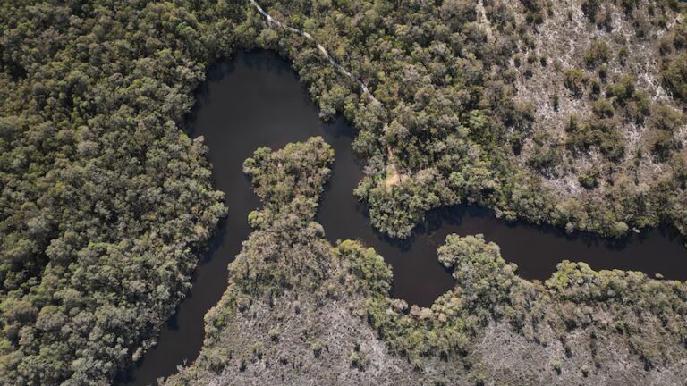 WA Approves $500M Scott River Wind Farm Despite 400+ Objections, Community Divided
