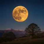 Flower Moon 2026 Peaks May 1: Why This Month Has Two Full Moons