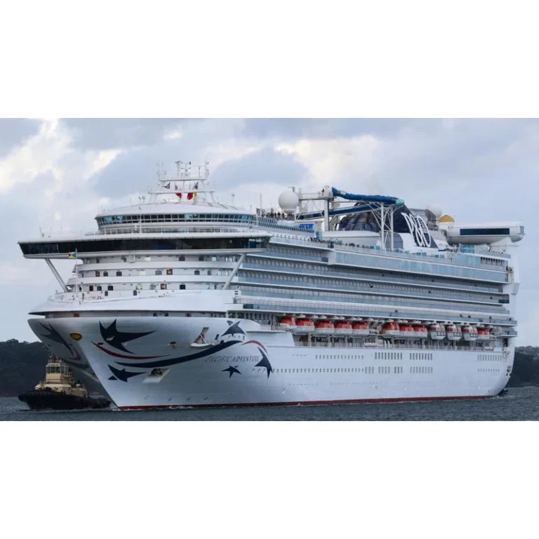 Man Missing After Going Overboard From Cruise Ship Near Brisbane, Massive Search Underway