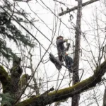 Portland Power Outage Hits 12,000+ PGE Customers as Morning Blackout Disrupts Southwest Areas