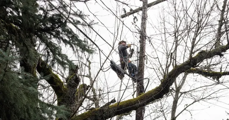 Portland Power Outage Hits 12,000+ PGE Customers as Morning Blackout Disrupts Southwest Areas