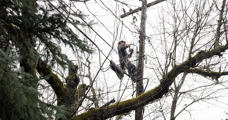 Portland Power Outage Hits 12,000+ PGE Customers as Morning Blackout Disrupts Southwest Areas