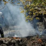 Japan Earthquake: 6.1 Magnitude Quake Hits North as Wildfires Force Evacuations