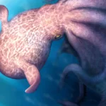 Real Kraken Discovered? 19-Metre Giant Octopus Was Apex Predator in Ancient Oceans, Study Finds
