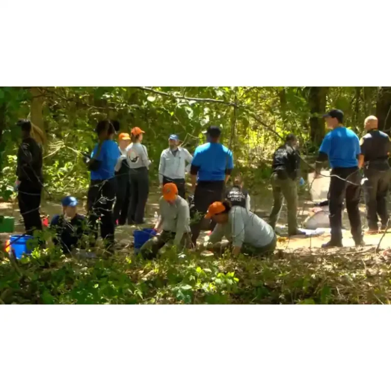 Memphis Horror: Remains of 3 Children Found After Years in Woods, Police Say