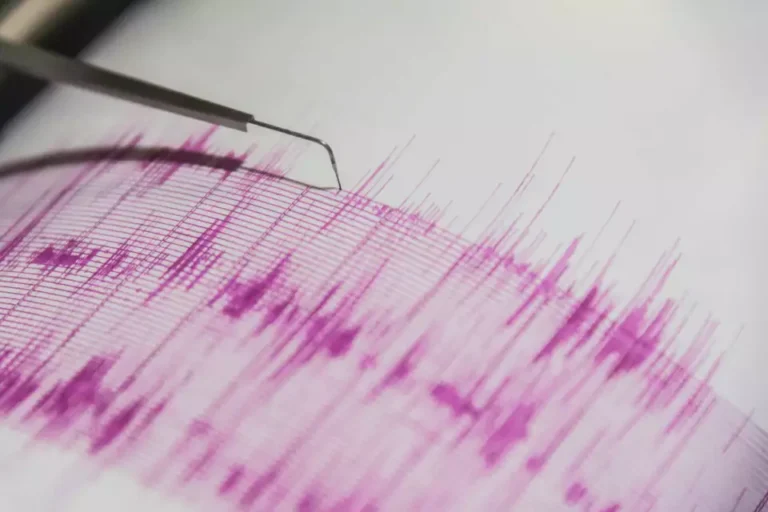 3.0 Magnitude Earthquake Strikes Near San Francisco Zoo, Aftershocks Follow