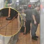 Millions Shocked by Viral McDonald’s ‘Chained Worker’ Photo as Investigation Reveals New Details