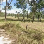 Toddler Fighting for Life After Dog Attack at Beaudesert Family Home