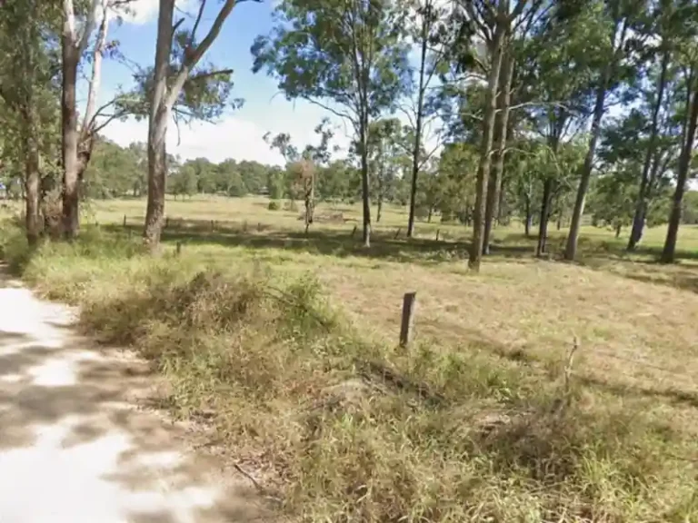 Toddler Fighting for Life After Dog Attack at Beaudesert Family Home