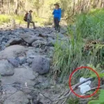 Aussies Warned Over Rising Bush Toileting Trend In National Parks As $500 Fines Apply