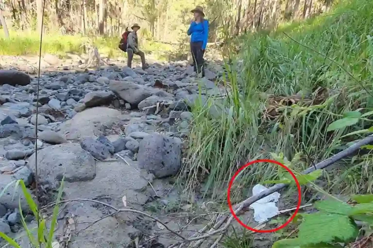 Aussies Warned Over Rising Bush Toileting Trend In National Parks As $500 Fines Apply