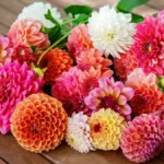 Lowe’s Free Mother’s Day Flower Giveaway 2026: Miami Stores, Time and How to Claim