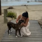 Couple Sees Thirsty Stray Dog Drinking Ocean Water — And Refuses To Leave Without Her
