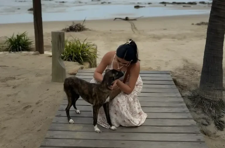 Couple Sees Thirsty Stray Dog Drinking Ocean Water — And Refuses To Leave Without Her