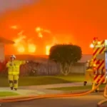 Man Saves Pound Dog — Days Later the Dog Saves Him From Deadly House Fire