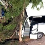 School Bus Crash in Sydneyās West Leaves Students Injured After Vehicle Slams Into Tree