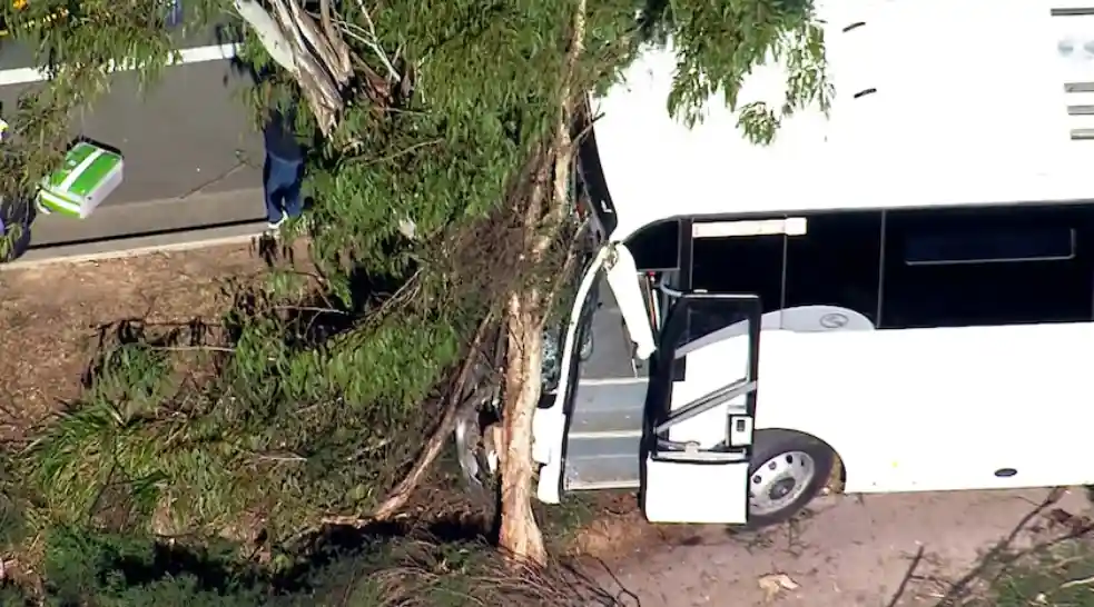 School Bus Crash in Sydneyâs West Leaves Students Injured After Vehicle Slams Into Tree