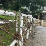 200mm Rain Hits Gold Coast After BOM Predicted Just 80mm