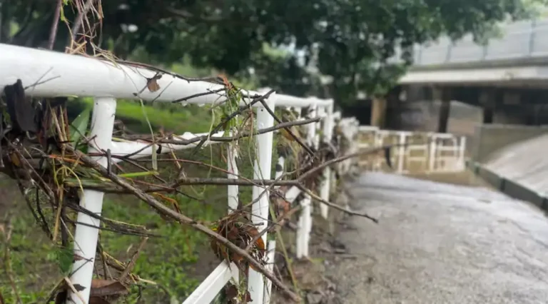 200mm Rain Hits Gold Coast After BOM Predicted Just 80mm