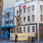 Sydney Chinatown’s Golden Water Mouth Sculpture Faces Removal Amid Heritage Concerns