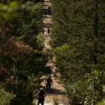 Hiker Dies on Manitou Springs Incline After Medical Emergency, Trail Reopens