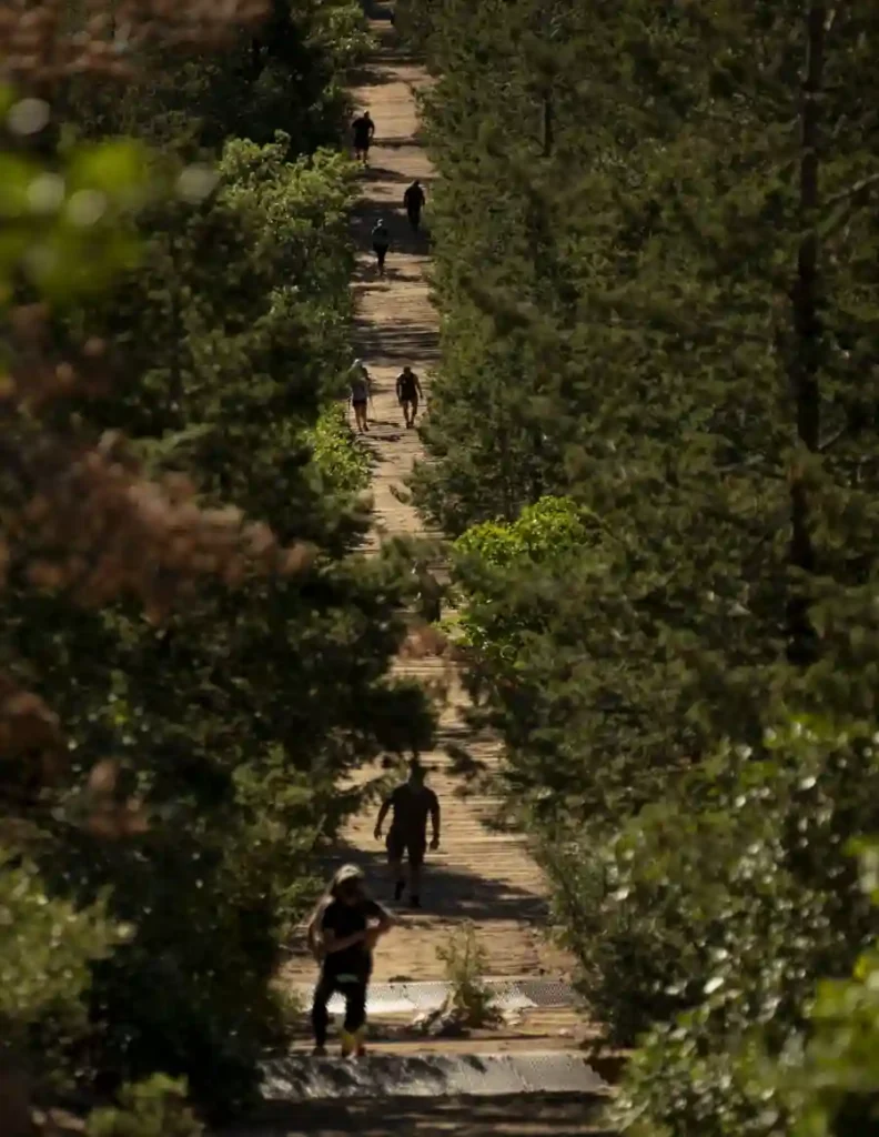 Hiker Dies on Manitou Springs Incline After Medical Emergency, Trail Reopens