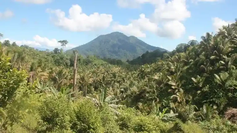 Indonesia Volcano Eruption Traps Hikers as Mount Dukono Sends Ash 10km Into Sky