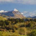 Two Dead After Helicopter Crash in New Zealand’s Mt Aspiring National Park