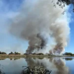 Perth Bushfire Today Near CBD: Herdsman Lake Fire Triggers Alert as Smoke Spreads Across Suburbs