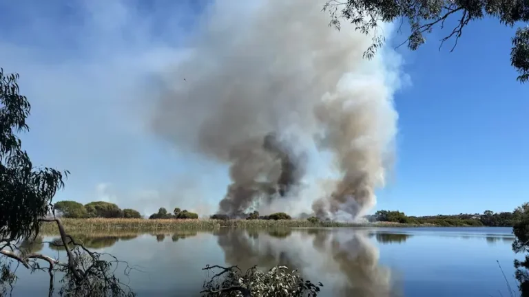 Perth Bushfire Today Near CBD: Herdsman Lake Fire Triggers Alert as Smoke Spreads Across Suburbs