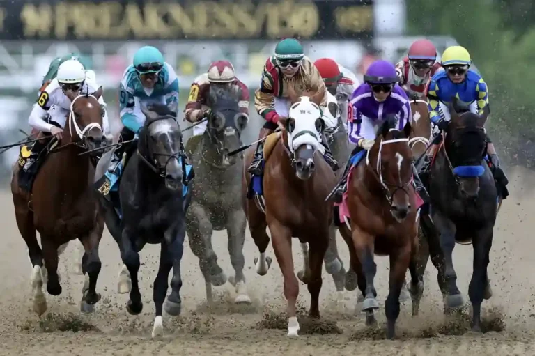Preakness Stakes 2026 Guide: Start Time, TV Channel, Odds and Betting Favorites