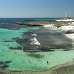 38-Year-Old Diver Killed by 13-Foot Great White Shark Near Rottnest Island