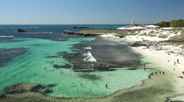 38-Year-Old Diver Killed by 13-Foot Great White Shark Near Rottnest Island