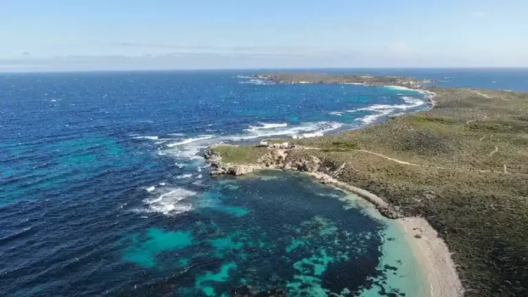 Rottnest Island Shark Attack Leaves Man Critical After Geordie Bay Incident