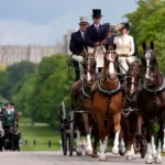 Soldier Dies After Falling From Horse at Royal Windsor Horse Show