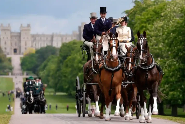 Soldier Dies After Falling From Horse at Royal Windsor Horse Show