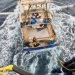 Pilot Calls 13-Hour Queensland Sea Rescue the Most Challenging Mission of His Career