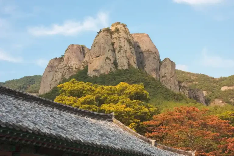 Missing 11-Year-Old Found Dead Near South Korea Mountain Peak After Three-Day Search