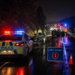 Police Name English and French Nationals Killed in State Highway 1 Crash Near Tokoroa