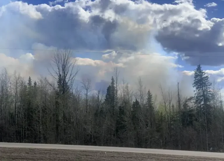 Whitecourt Wildfire Forces Alberta Evacuations as Crews Battle Out-of-Control Blaze